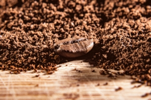 coffee-3005763_1920