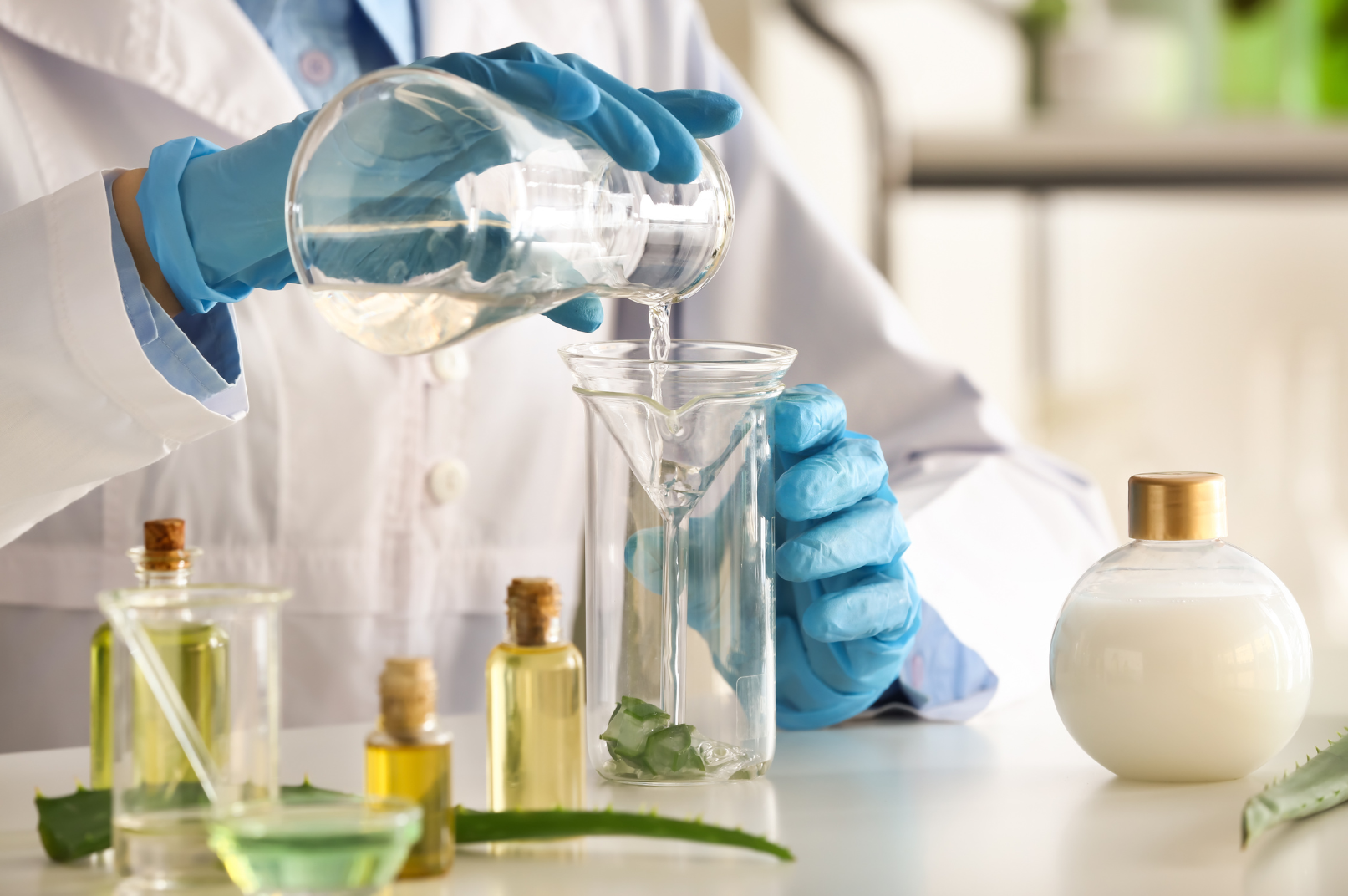 visuels – catalogue 20242025 (2)