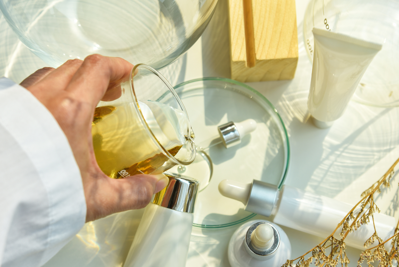 visuels – catalogue 20242025 (3)